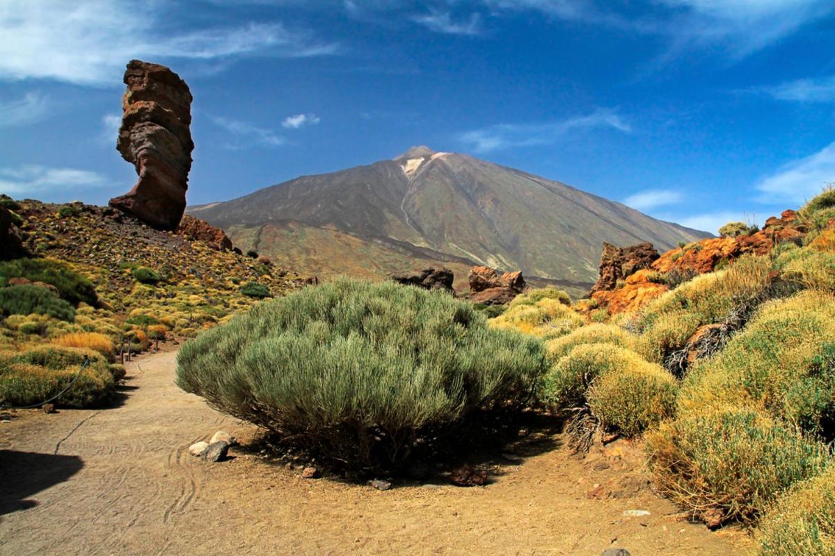 Sweet Home Los Cristianos อาโรนา ภายนอก รูปภาพ